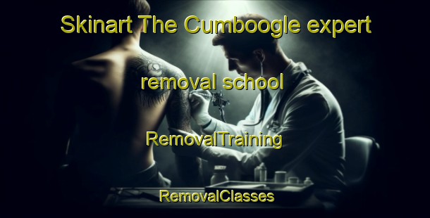 Skinart The Cumboogle expert removal school | RemovalTraining | RemovalClasses | SkinartTraining-Australia