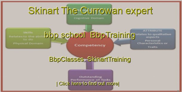Skinart The Currowan expert bbp school | BbpTraining | BbpClasses | SkinartTraining-Australia