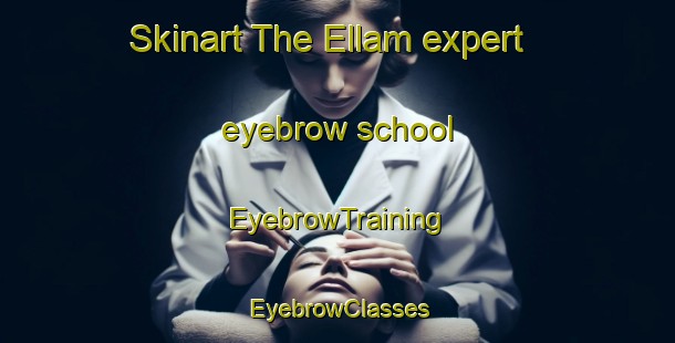Skinart The Ellam expert eyebrow school | EyebrowTraining | EyebrowClasses | SkinartTraining-Australia