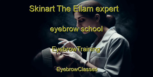 Skinart The Ellam expert eyebrow school | EyebrowTraining | EyebrowClasses | SkinartTraining-Australia