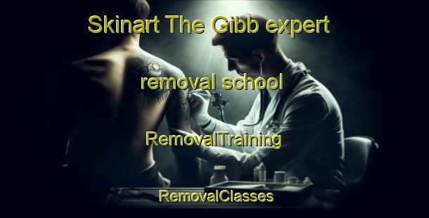 Skinart The Gibb expert removal school | RemovalTraining | RemovalClasses | SkinartTraining-Australia