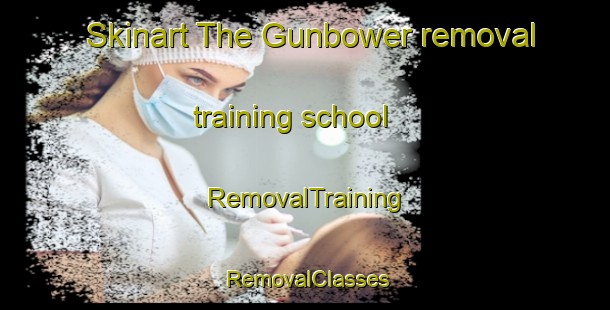 Skinart The Gunbower removal training school | RemovalTraining | RemovalClasses | SkinartTraining-Australia