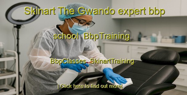 Skinart The Gwando expert bbp school | BbpTraining | BbpClasses | SkinartTraining-Australia