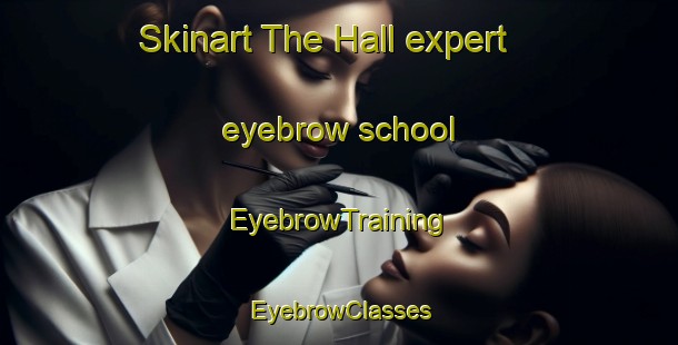 Skinart The Hall expert eyebrow school | EyebrowTraining | EyebrowClasses | SkinartTraining-Australia