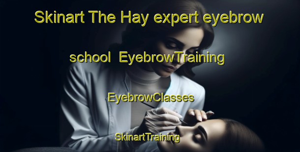 Skinart The Hay expert eyebrow school | EyebrowTraining | EyebrowClasses | SkinartTraining-Australia
