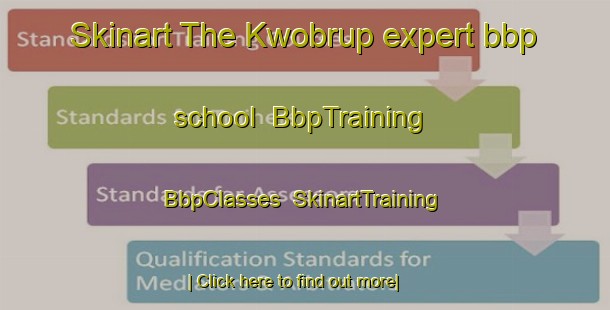 Skinart The Kwobrup expert bbp school | BbpTraining | BbpClasses | SkinartTraining-Australia