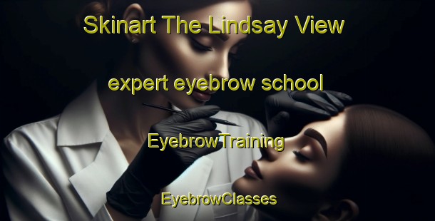 Skinart The Lindsay View expert eyebrow school | EyebrowTraining | EyebrowClasses | SkinartTraining-Australia