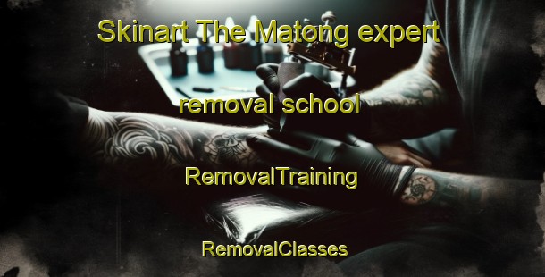 Skinart The Matong expert removal school | RemovalTraining | RemovalClasses | SkinartTraining-Australia