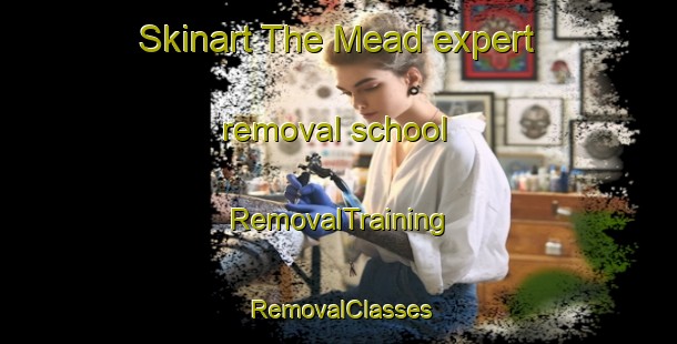 Skinart The Mead expert removal school | RemovalTraining | RemovalClasses | SkinartTraining-Australia