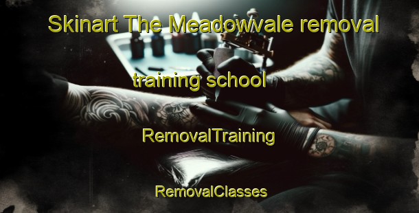 Skinart The Meadowvale removal training school | RemovalTraining | RemovalClasses | SkinartTraining-Australia