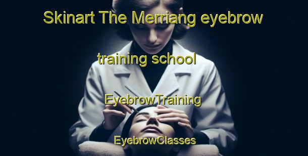 Skinart The Merriang eyebrow training school | EyebrowTraining | EyebrowClasses | SkinartTraining-Australia