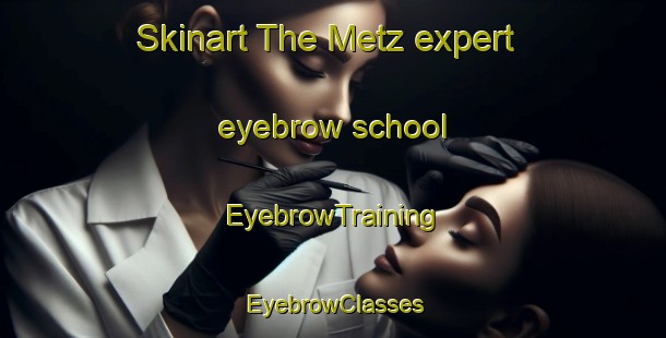 Skinart The Metz expert eyebrow school | EyebrowTraining | EyebrowClasses | SkinartTraining-Australia