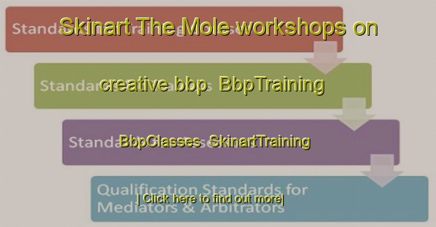 Skinart The Mole workshops on creative bbp | BbpTraining | BbpClasses | SkinartTraining-Australia