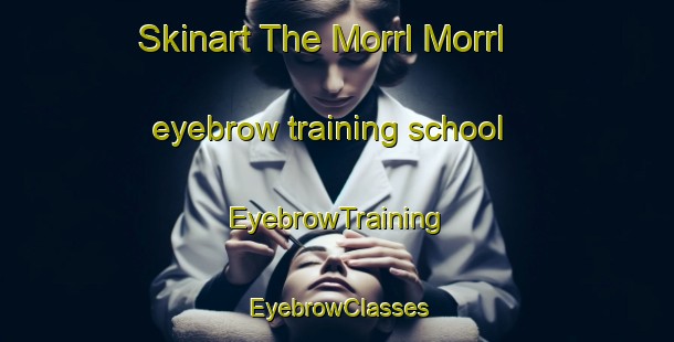Skinart The Morrl Morrl eyebrow training school | EyebrowTraining | EyebrowClasses | SkinartTraining-Australia