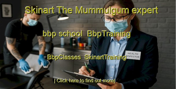 Skinart The Mummulgum expert bbp school | BbpTraining | BbpClasses | SkinartTraining-Australia
