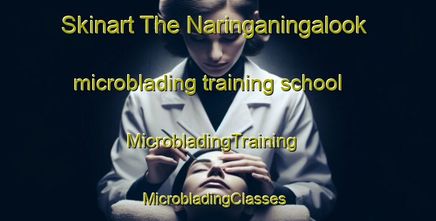 Skinart The Naringaningalook microblading training school | MicrobladingTraining | MicrobladingClasses | SkinartTraining-Australia