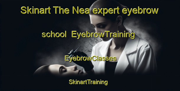 Skinart The Nea expert eyebrow school | EyebrowTraining | EyebrowClasses | SkinartTraining-Australia