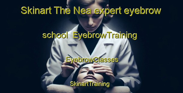 Skinart The Nea expert eyebrow school | EyebrowTraining | EyebrowClasses | SkinartTraining-Australia