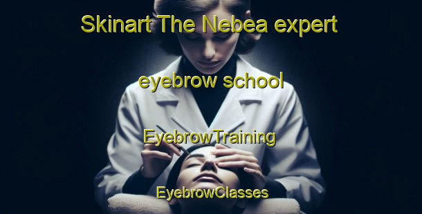 Skinart The Nebea expert eyebrow school | EyebrowTraining | EyebrowClasses | SkinartTraining-Australia