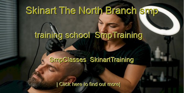 Skinart The North Branch smp training school | SmpTraining | SmpClasses | SkinartTraining-Australia