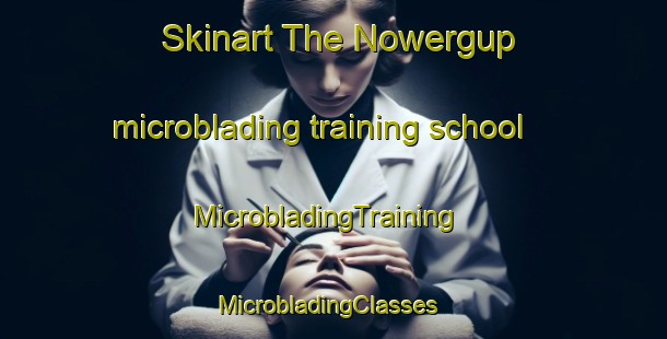 Skinart The Nowergup microblading training school | MicrobladingTraining | MicrobladingClasses | SkinartTraining-Australia