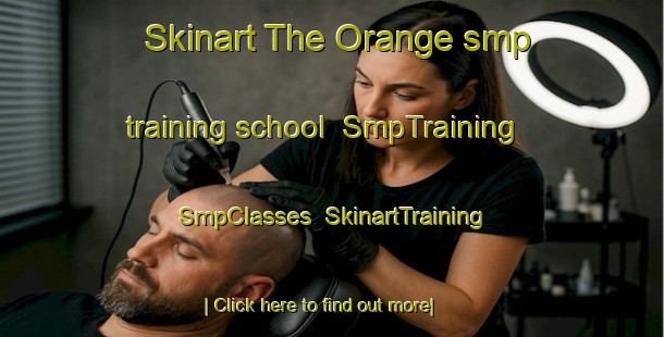 Skinart The Orange smp training school | SmpTraining | SmpClasses | SkinartTraining-Australia