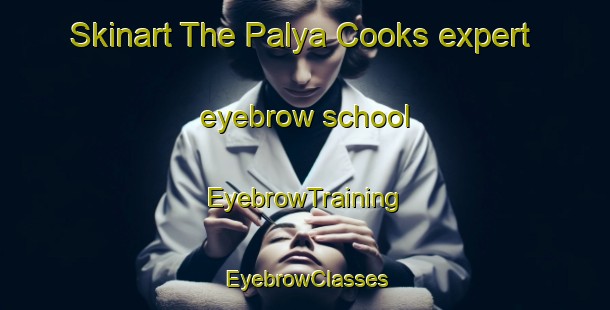 Skinart The Palya Cooks expert eyebrow school | EyebrowTraining | EyebrowClasses | SkinartTraining-Australia
