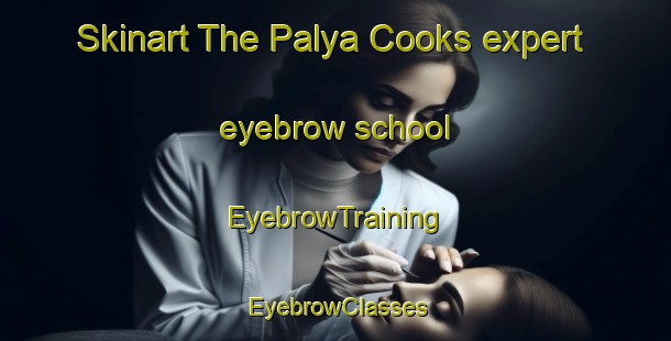 Skinart The Palya Cooks expert eyebrow school | EyebrowTraining | EyebrowClasses | SkinartTraining-Australia