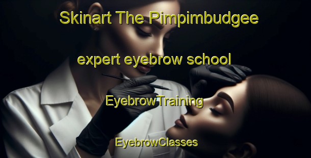 Skinart The Pimpimbudgee expert eyebrow school | EyebrowTraining | EyebrowClasses | SkinartTraining-Australia