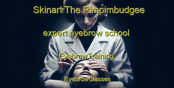 Skinart The Pimpimbudgee expert eyebrow school | EyebrowTraining | EyebrowClasses | SkinartTraining-Australia