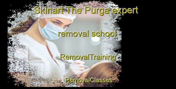 Skinart The Purga expert removal school | RemovalTraining | RemovalClasses | SkinartTraining-Australia