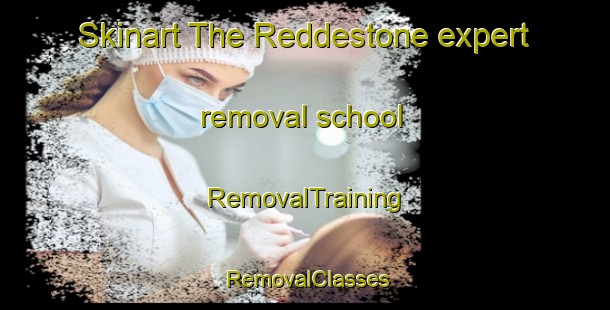 Skinart The Reddestone expert removal school | RemovalTraining | RemovalClasses | SkinartTraining-Australia