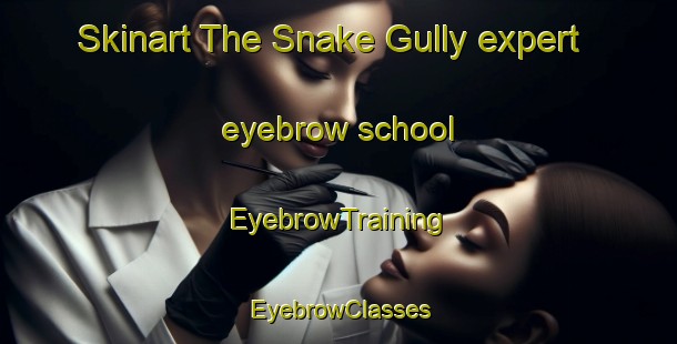 Skinart The Snake Gully expert eyebrow school | EyebrowTraining | EyebrowClasses | SkinartTraining-Australia