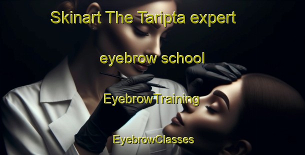 Skinart The Taripta expert eyebrow school | EyebrowTraining | EyebrowClasses | SkinartTraining-Australia
