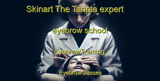 Skinart The Taripta expert eyebrow school | EyebrowTraining | EyebrowClasses | SkinartTraining-Australia