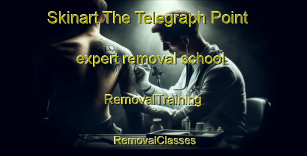 Skinart The Telegraph Point expert removal school | RemovalTraining | RemovalClasses | SkinartTraining-Australia