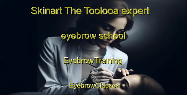 Skinart The Toolooa expert eyebrow school | EyebrowTraining | EyebrowClasses | SkinartTraining-Australia