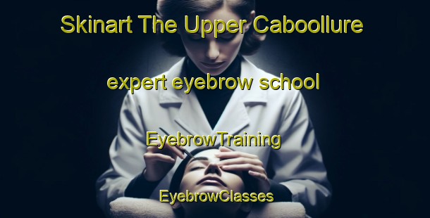 Skinart The Upper Caboollure expert eyebrow school | EyebrowTraining | EyebrowClasses | SkinartTraining-Australia