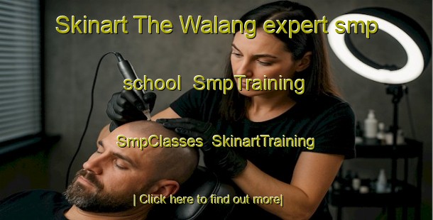 Skinart The Walang expert smp school | SmpTraining | SmpClasses | SkinartTraining-Australia