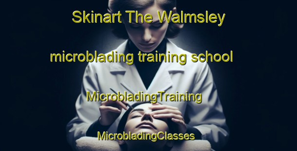 Skinart The Walmsley microblading training school | MicrobladingTraining | MicrobladingClasses | SkinartTraining-Australia