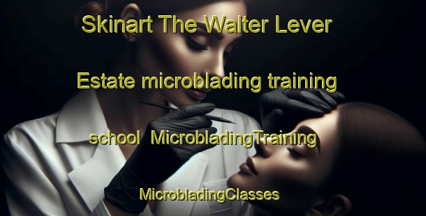 Skinart The Walter Lever Estate microblading training school | MicrobladingTraining | MicrobladingClasses | SkinartTraining-Australia