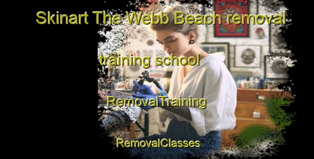 Skinart The Webb Beach removal training school | RemovalTraining | RemovalClasses | SkinartTraining-Australia