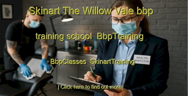 Skinart The Willow Vale bbp training school | BbpTraining | BbpClasses | SkinartTraining-Australia