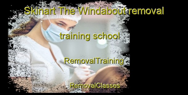 Skinart The Windabout removal training school | RemovalTraining | RemovalClasses | SkinartTraining-Australia