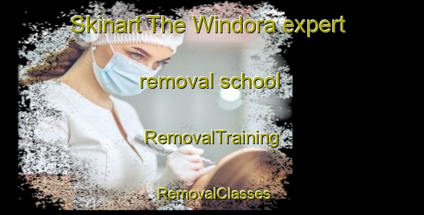 Skinart The Windora expert removal school | RemovalTraining | RemovalClasses | SkinartTraining-Australia