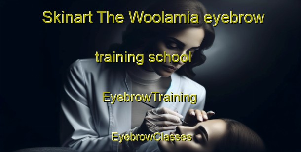 Skinart The Woolamia eyebrow training school | EyebrowTraining | EyebrowClasses | SkinartTraining-Australia