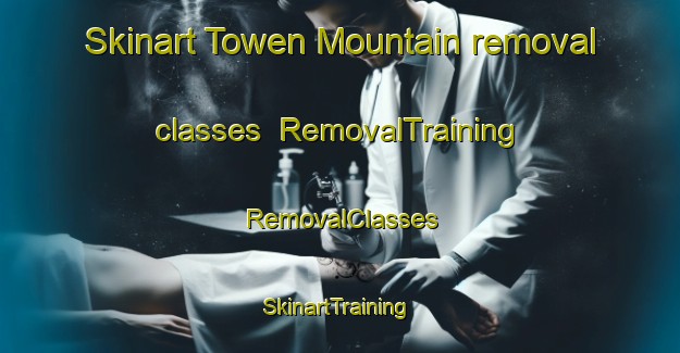 Skinart Towen Mountain removal classes | RemovalTraining | RemovalClasses | SkinartTraining-Australia