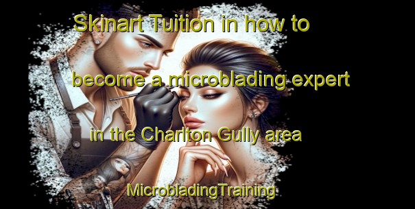 Skinart Tuition in how to become a microblading expert in the Charlton Gully area | MicrobladingTraining | MicrobladingClasses | SkinartTraining-Australia