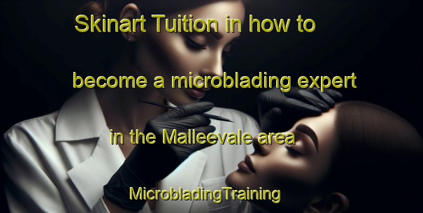Skinart Tuition in how to become a microblading expert in the Malleevale area | MicrobladingTraining | MicrobladingClasses | SkinartTraining-Australia