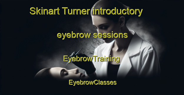 Skinart Turner introductory eyebrow sessions | EyebrowTraining | EyebrowClasses | SkinartTraining-Australia